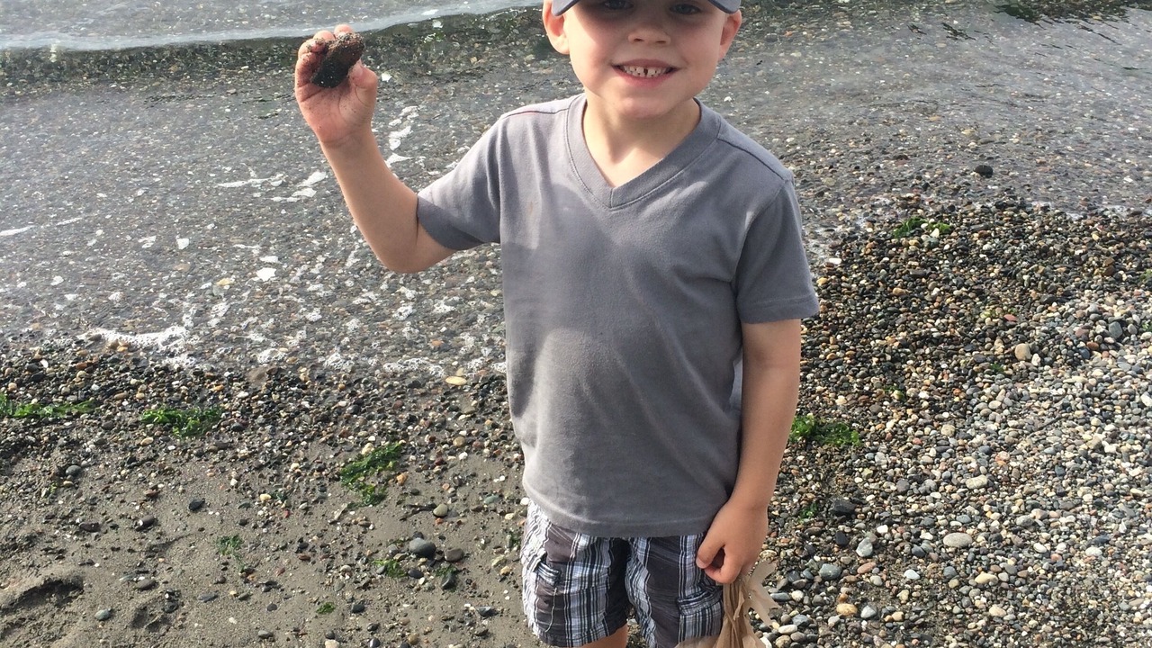 Photo of Others in Three Tree Point