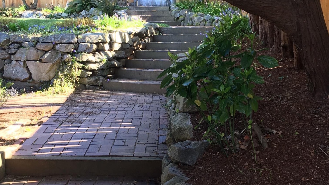 Photo of Others in Three Tree Point