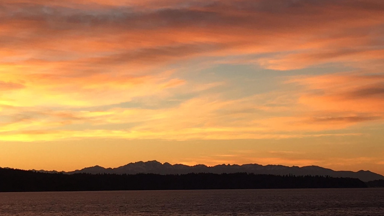 Photo of Others in Three Tree Point
