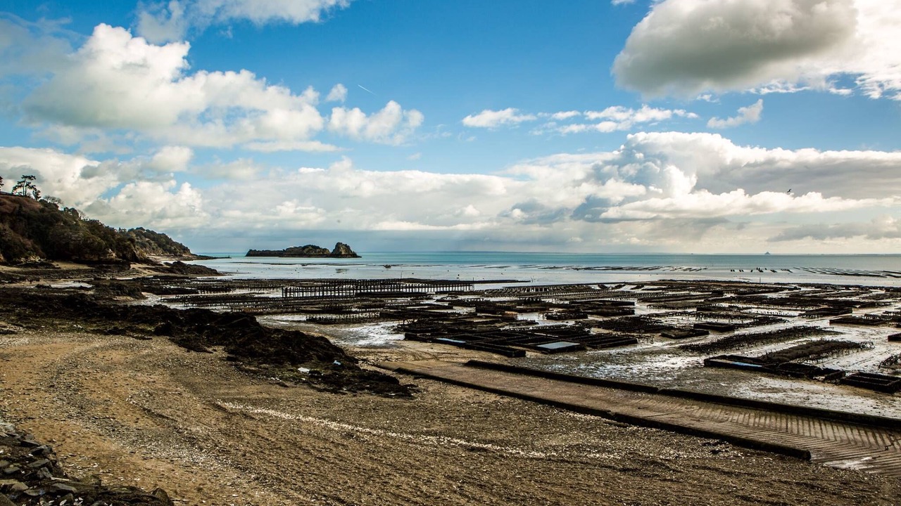 Photo of Others in Saint-Benoit-des-Ondes