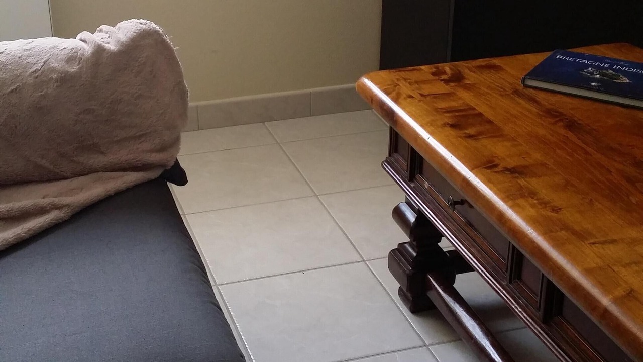 Photo of Livingroom in Saint-Benoit-des-Ondes