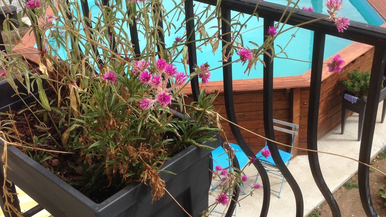 Photo of Outdoor in Brugheas