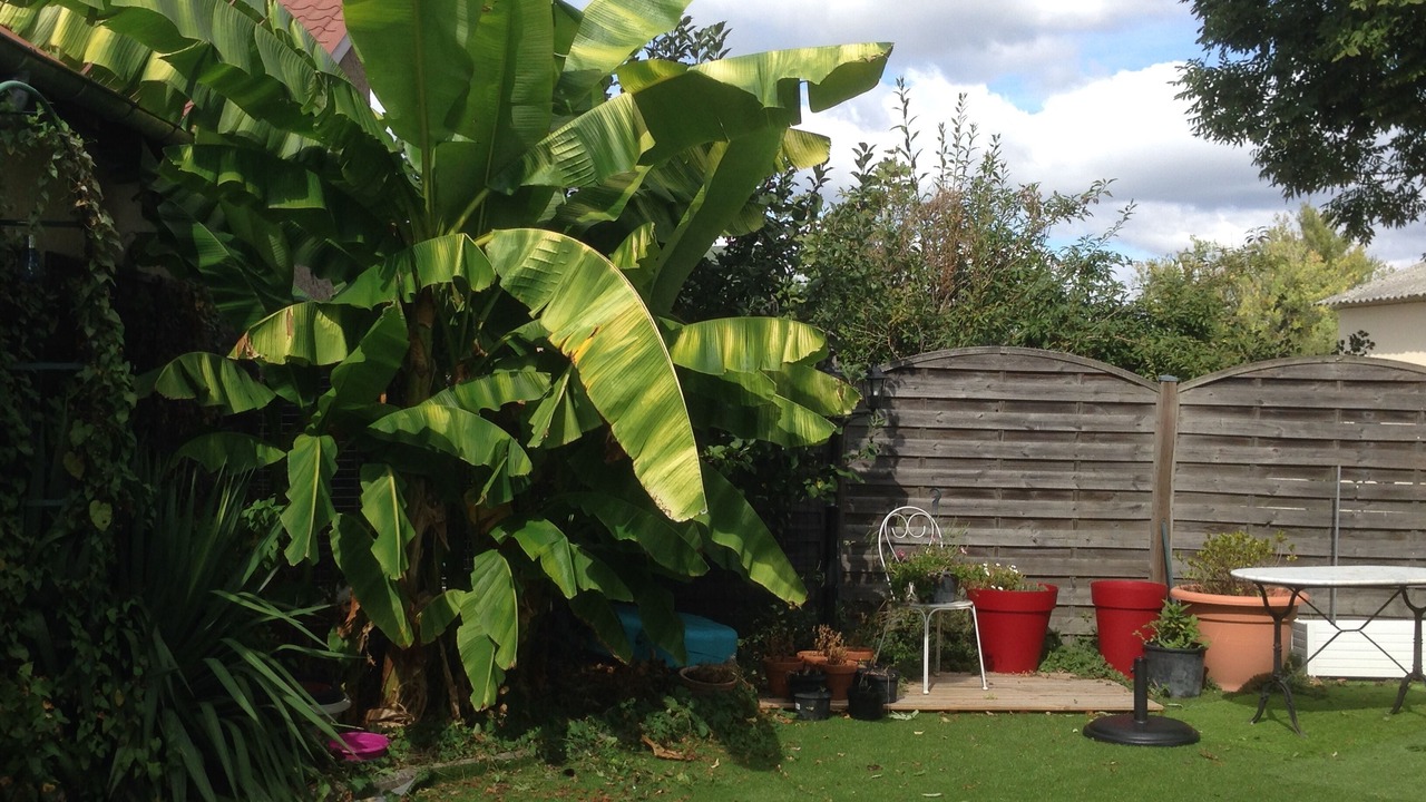 Photo of Patio Balcony in Brugheas