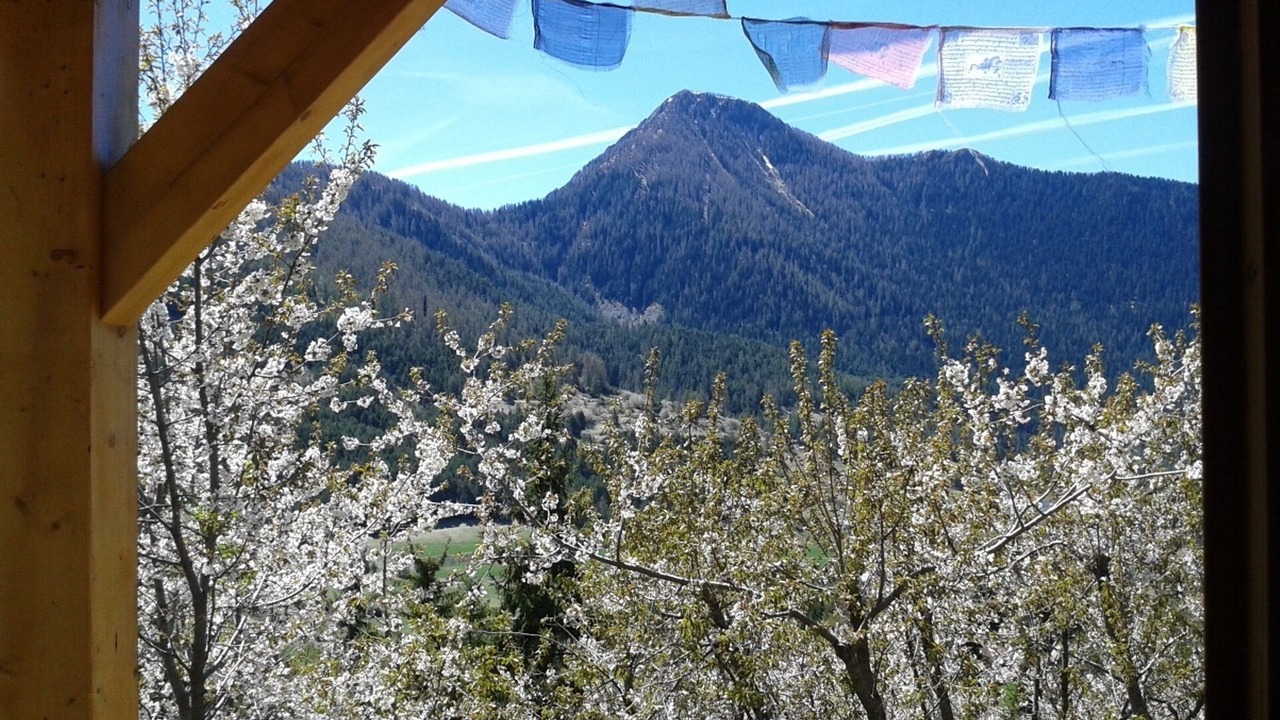 Photo of Others in Saint-Dalmas