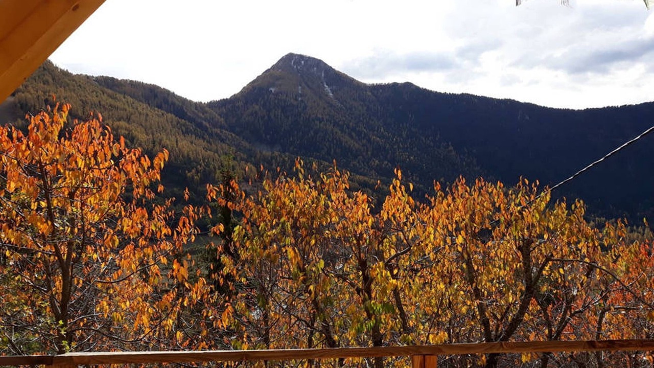 Photo of Outdoor in Saint-Dalmas