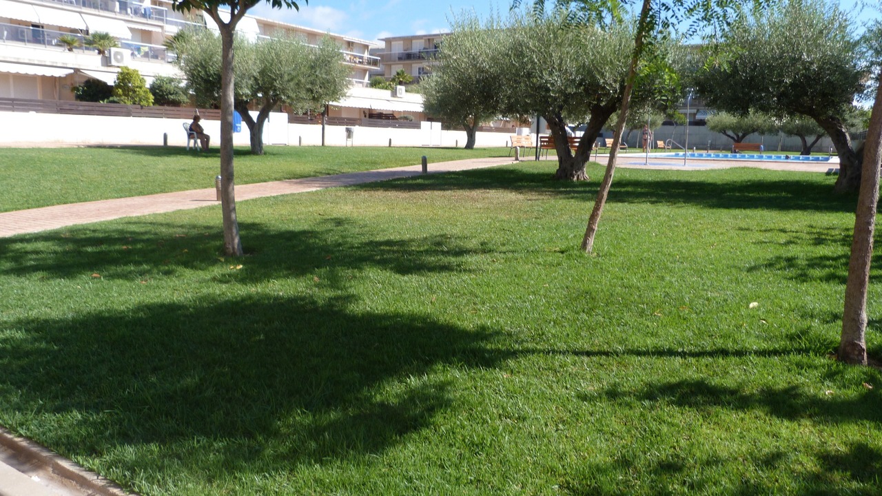 Photo of Outdoor in Sant Carles de la Rapita