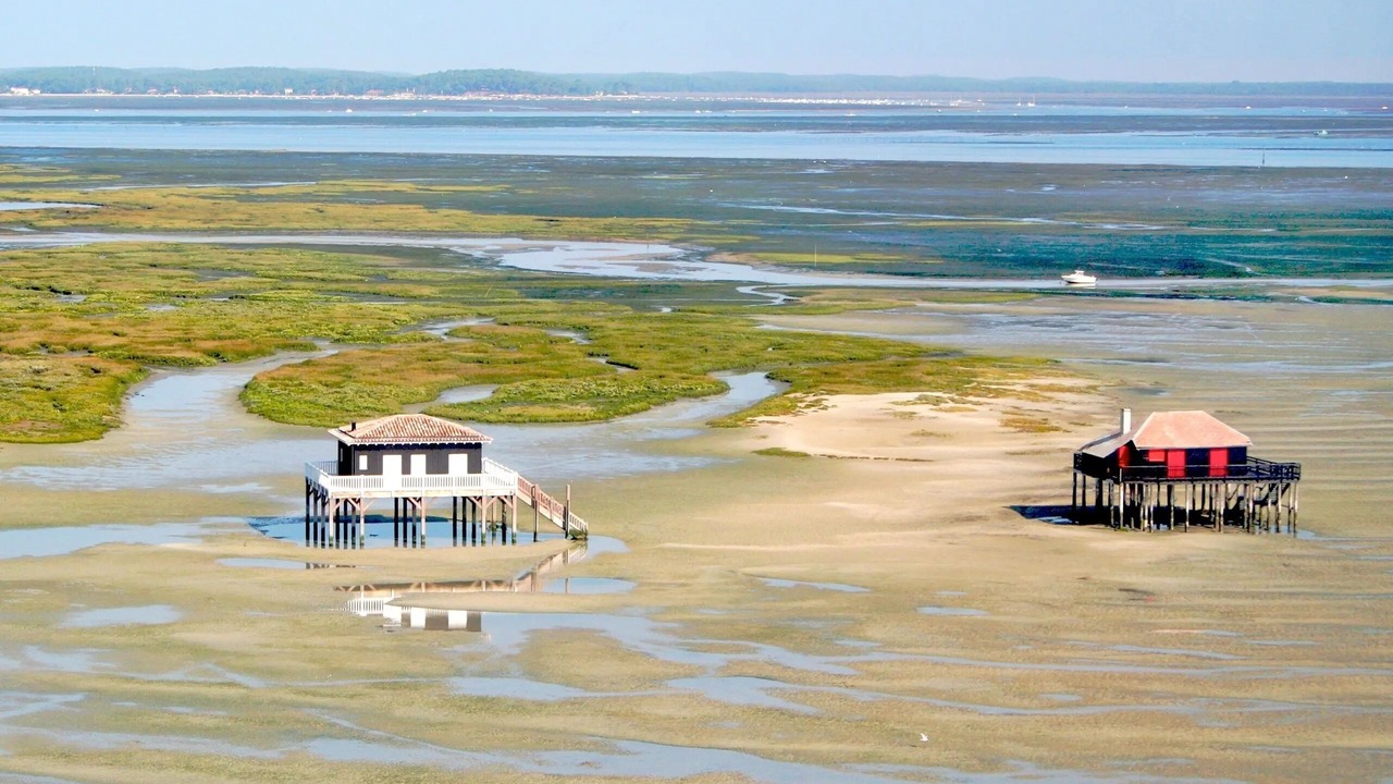 Photo of Others in Taussat