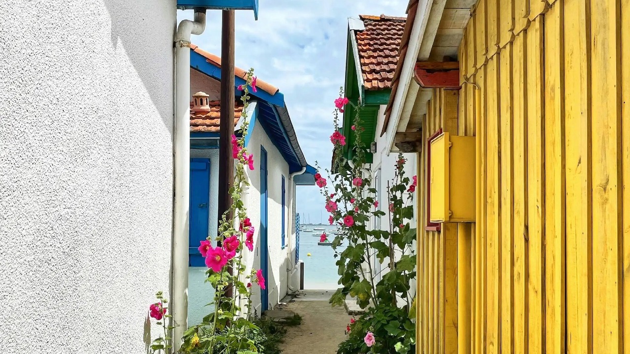 Photo of Outdoor in Taussat