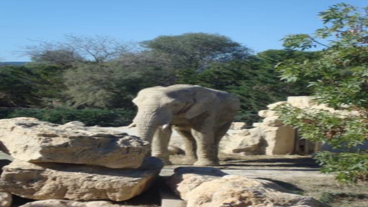 Photo of Outdoor in Sigean
