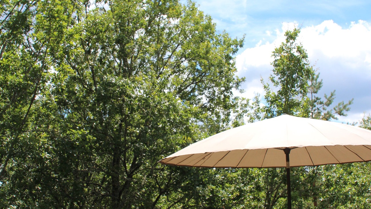 Photo of Outdoor in Auriac-du-Perigord