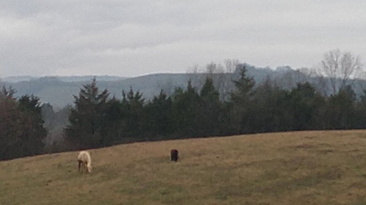 Photo of Outdoor in Hillsboro
