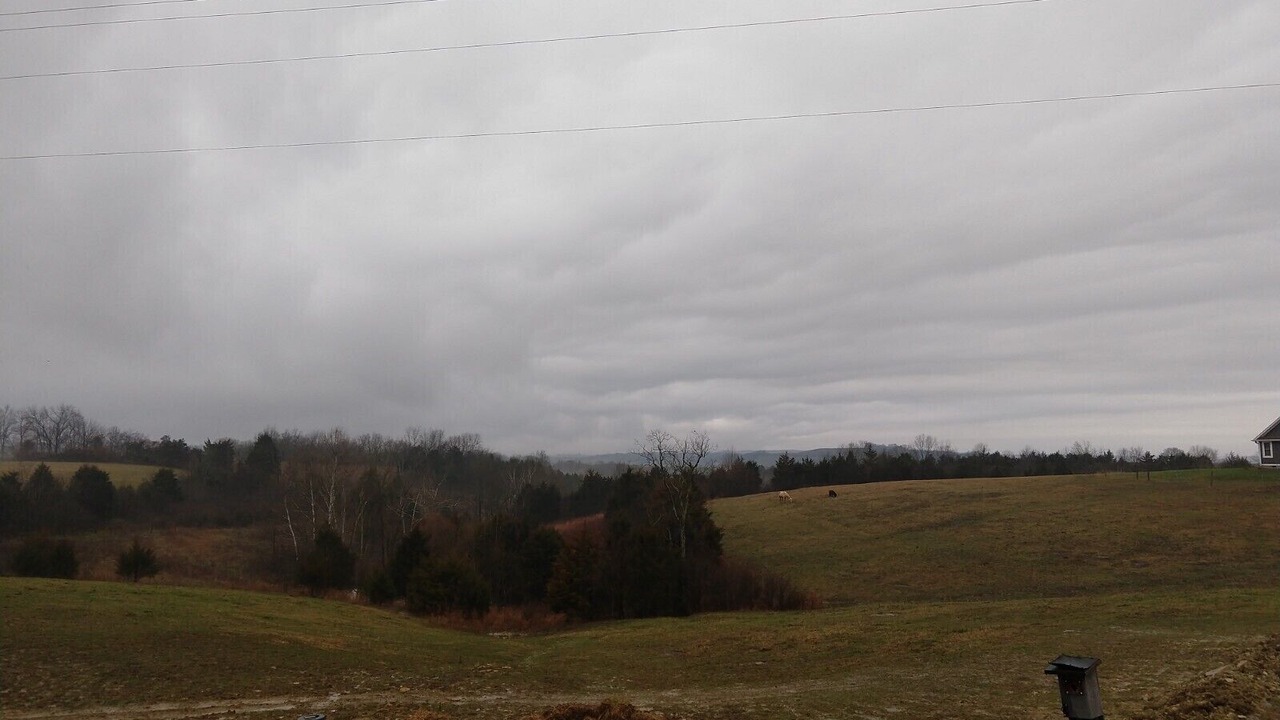 Photo of Outdoor in Hillsboro