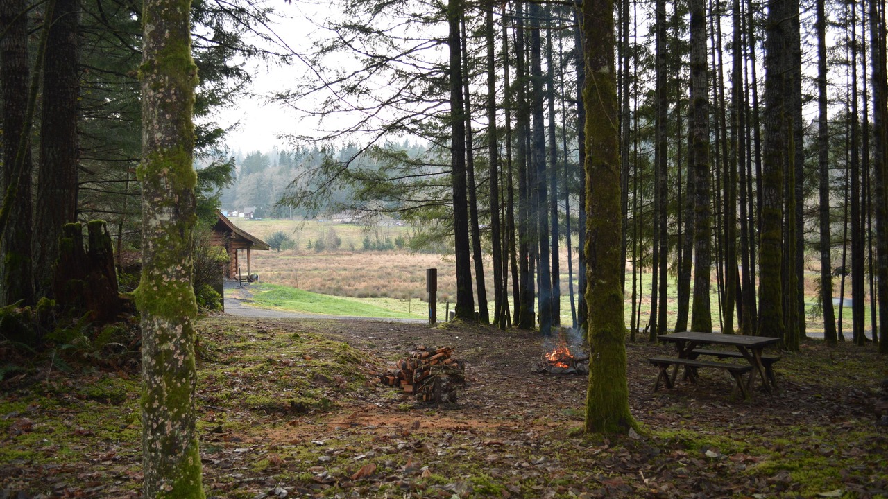 Photo of Others in Chehalis