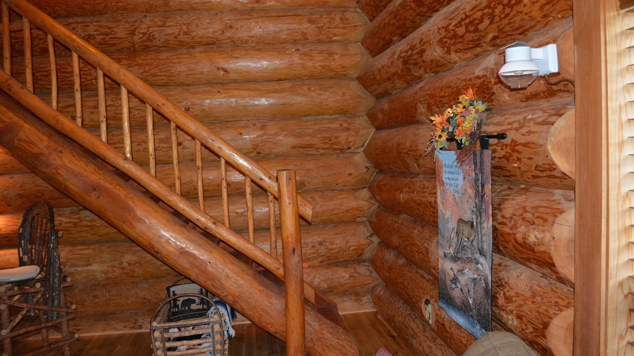 Photo of Others in Chehalis