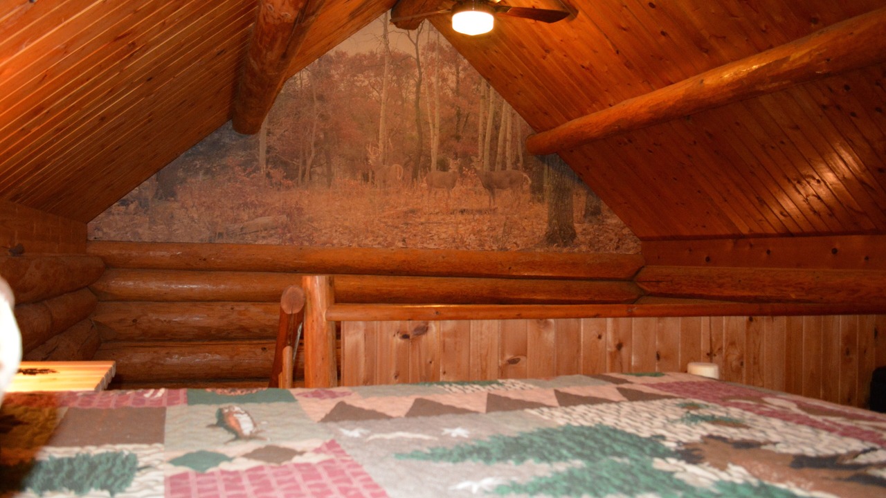 Photo of Others in Chehalis