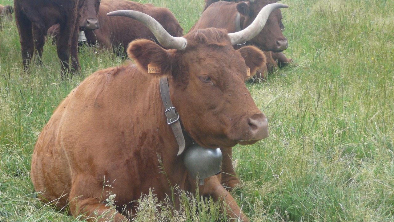 Photo of Outdoor in Sainte-Anastasie