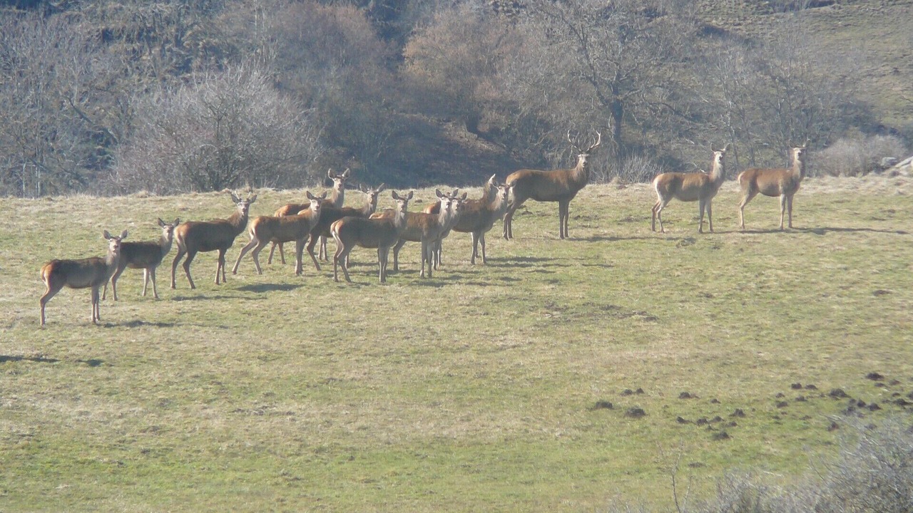 Photo of Outdoor in Sainte-Anastasie
