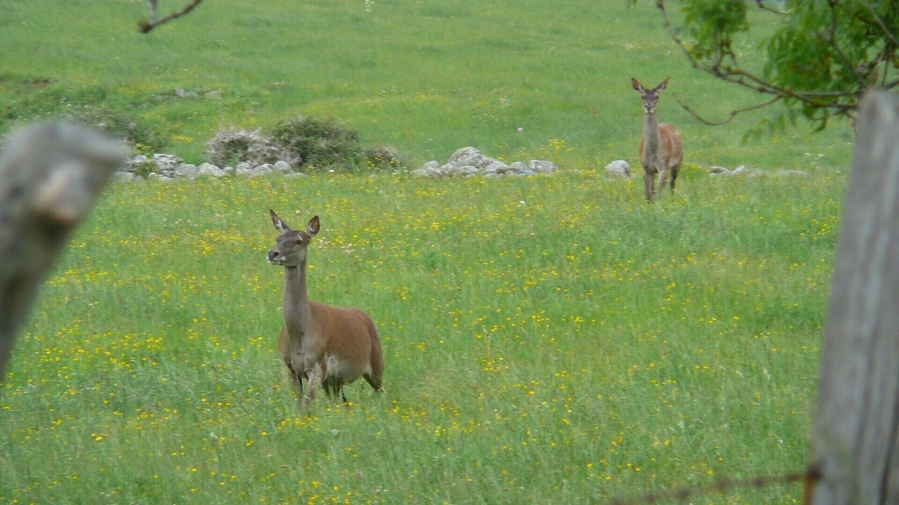Photo of Outdoor in Sainte-Anastasie