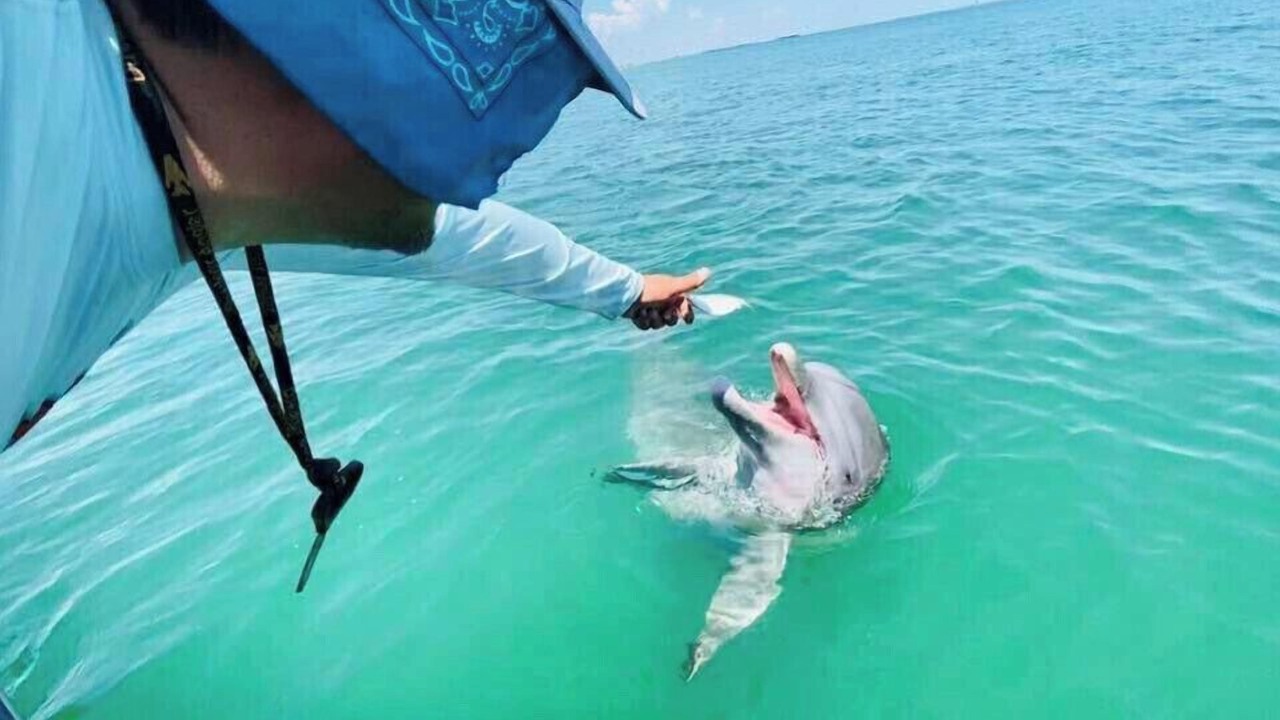 Photo of Others in Aransas Pass