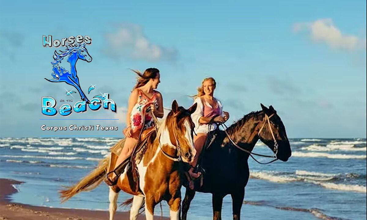 Photo of Others in Aransas Pass