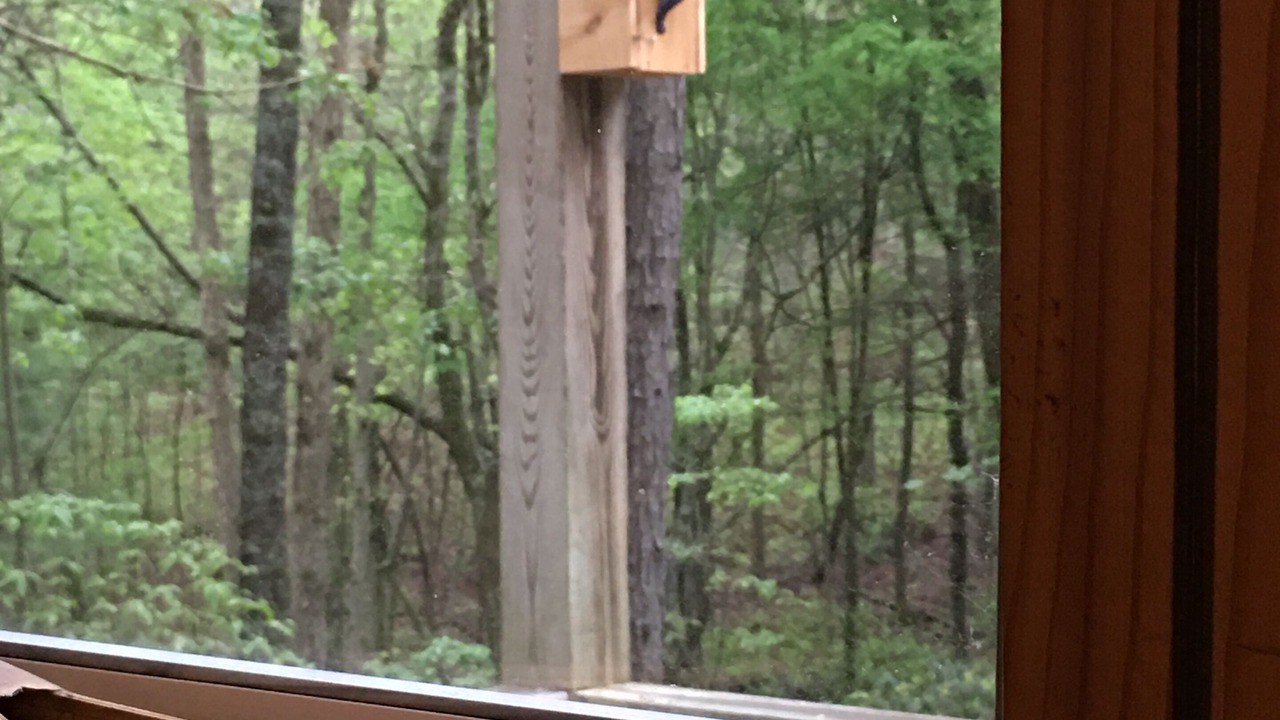 Photo of Others in McCaysville
