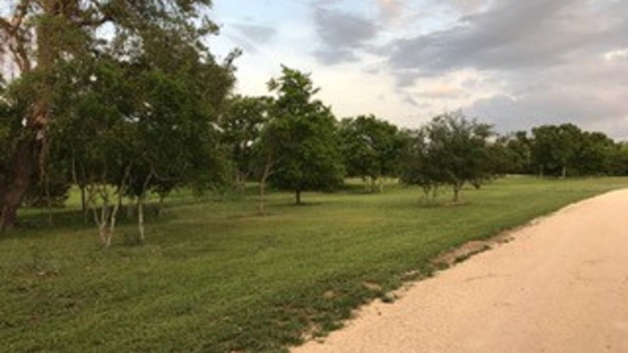Photo of Outdoor in Henly