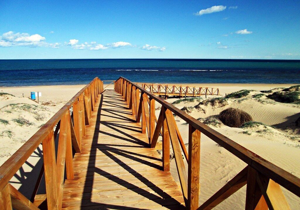 Photo of Others in Torrevieja