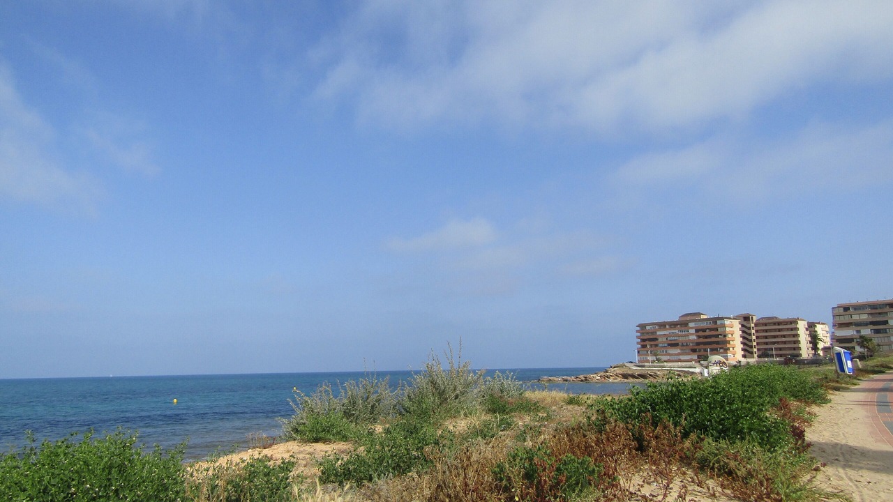 Photo of Others in Torrevieja