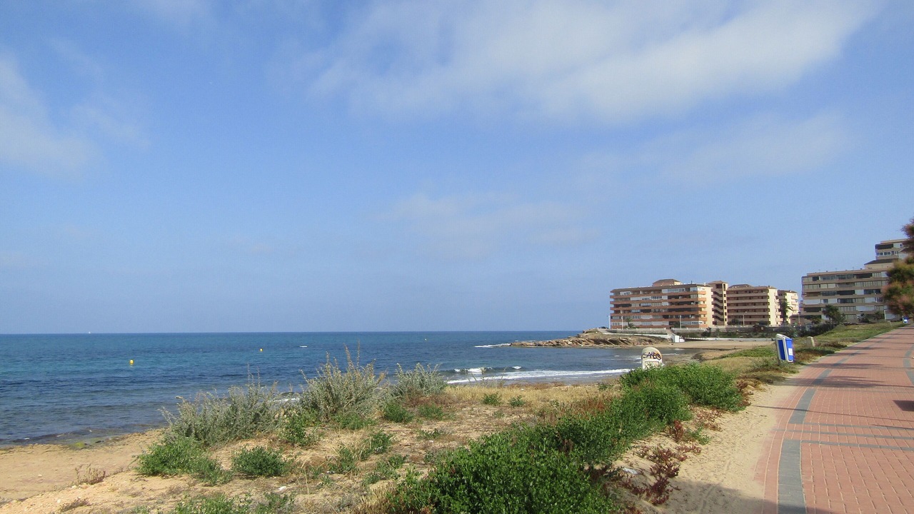 Photo of Others in Torrevieja