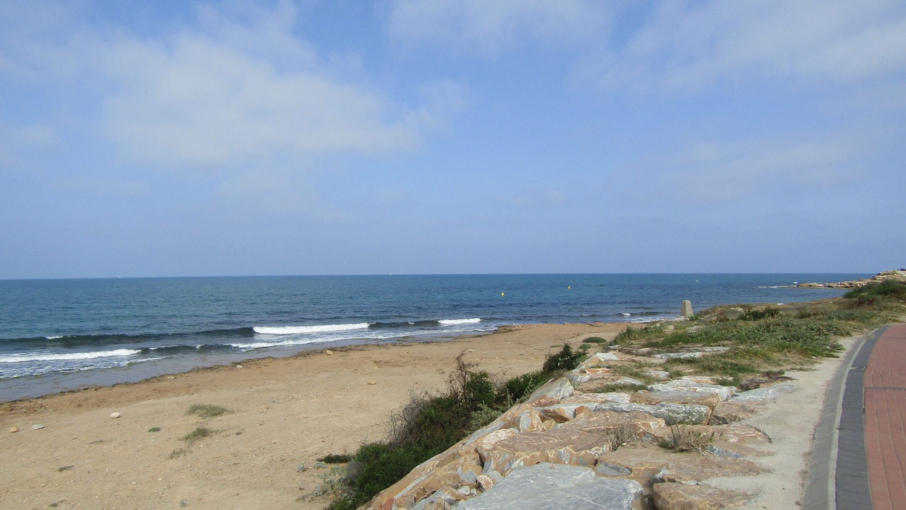 Photo of Others in Torrevieja