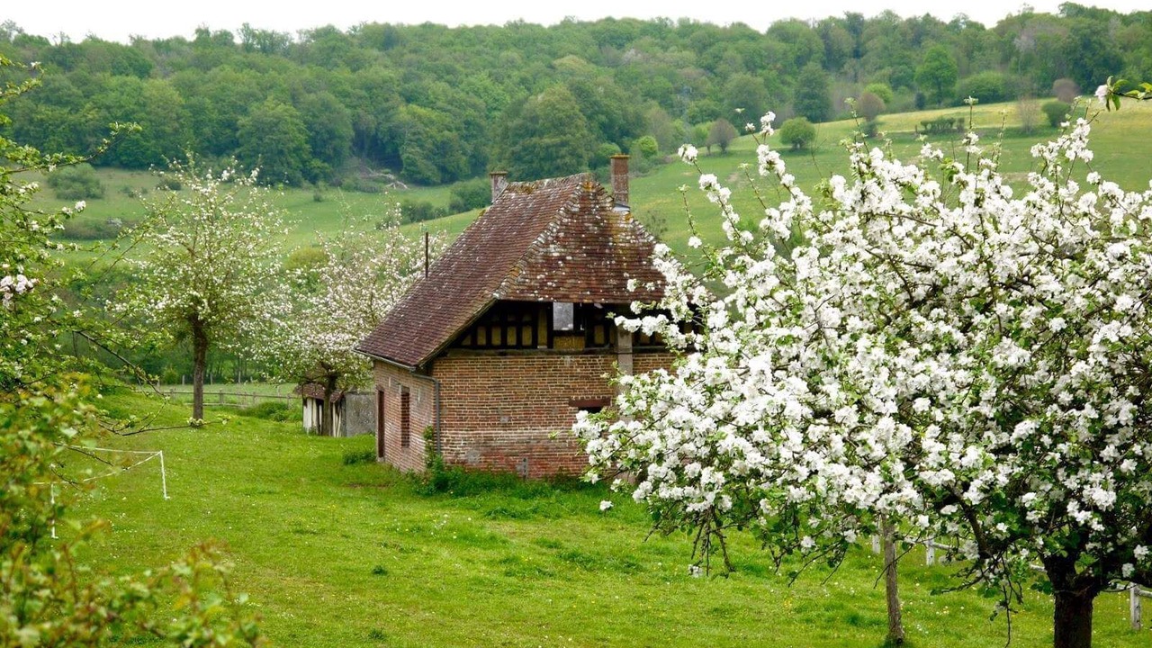 Photo of Outdoor in Anatole France Danton