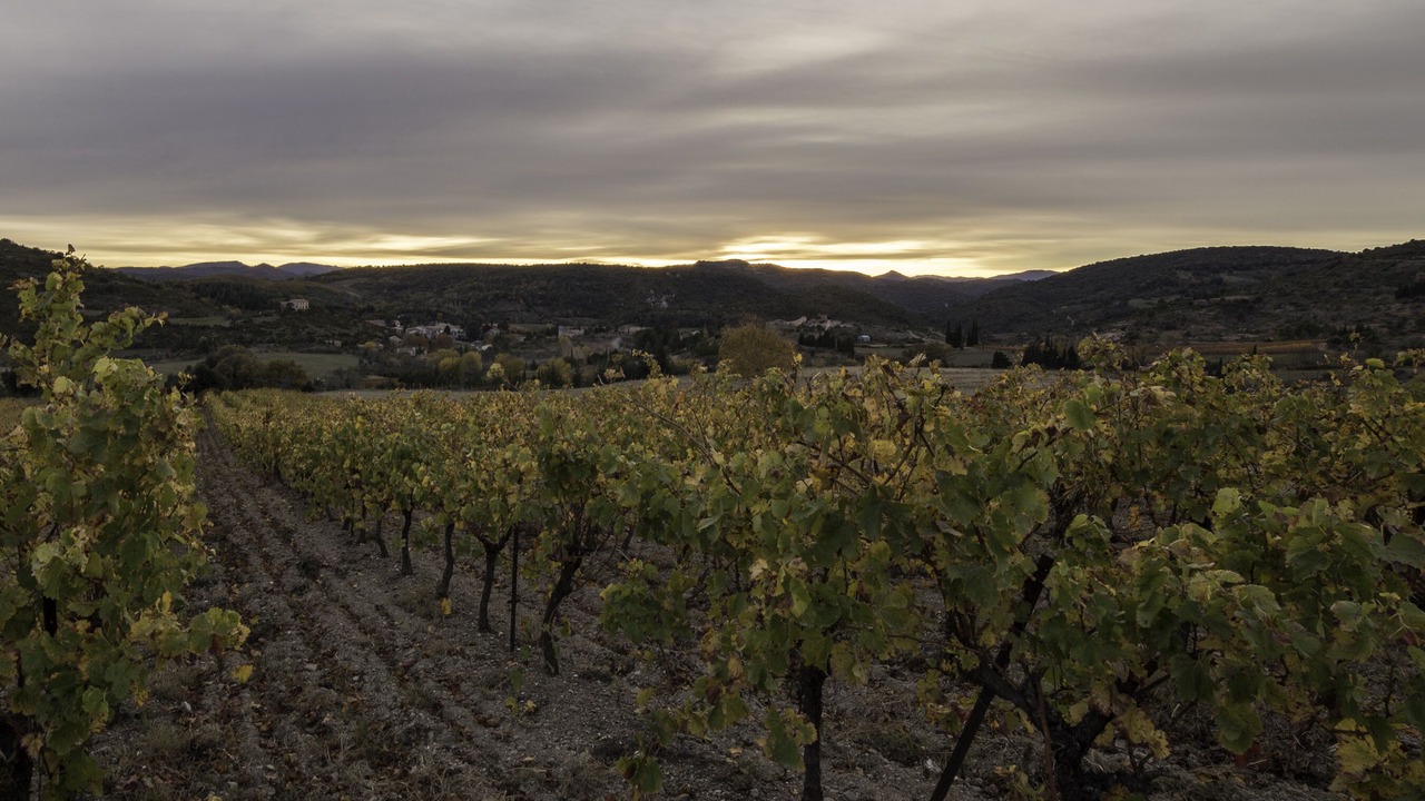 Photo of Outdoor in Villerouge-Termenes