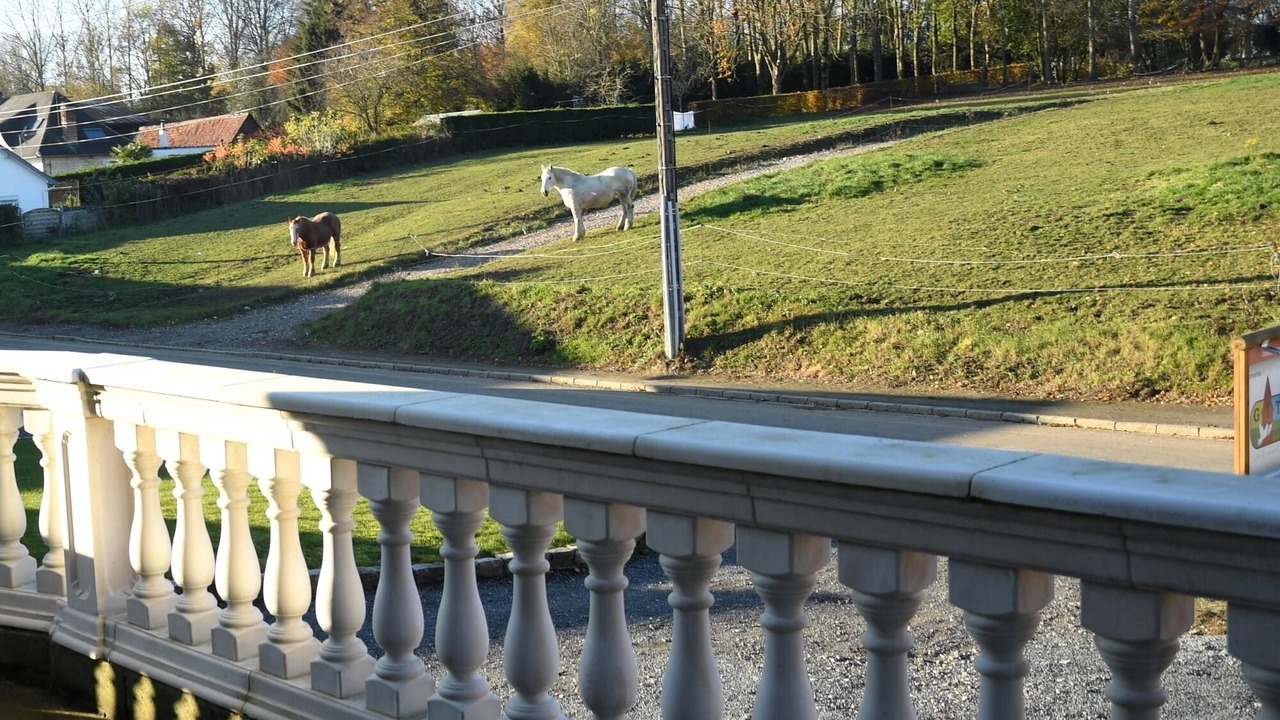 Photo of Outdoor in Souastre