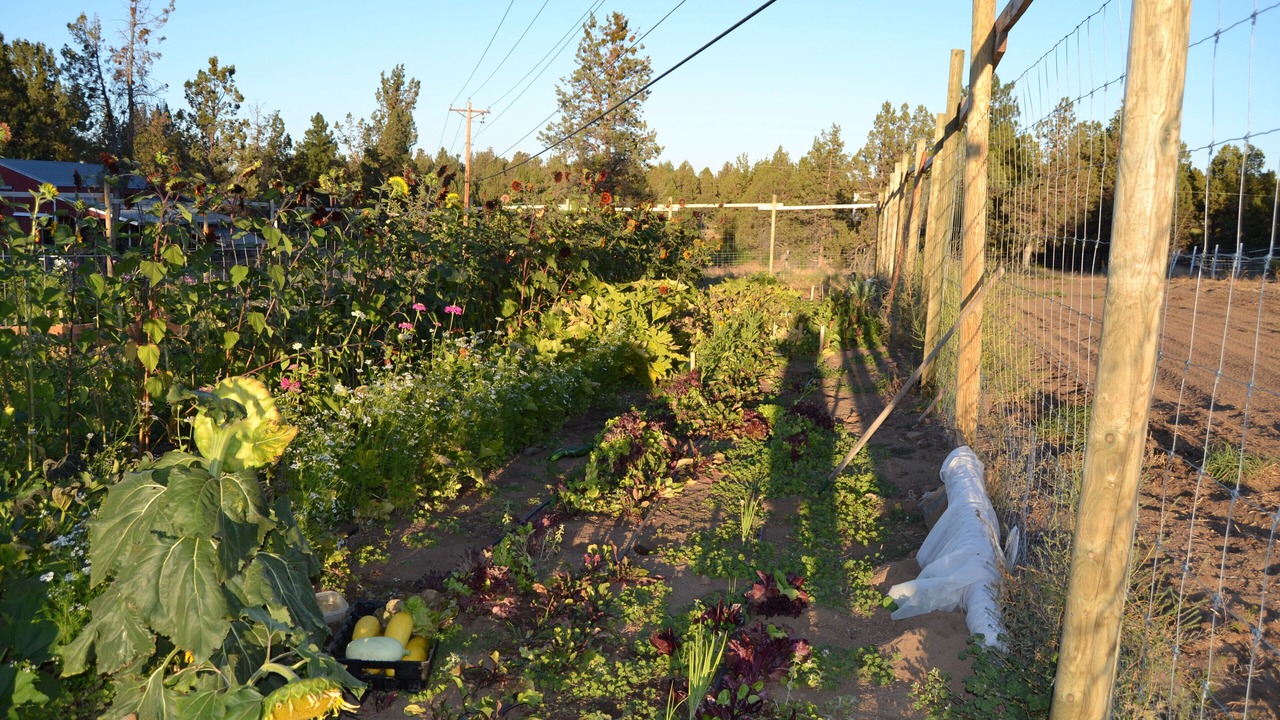 Photo of Outdoor in Bend