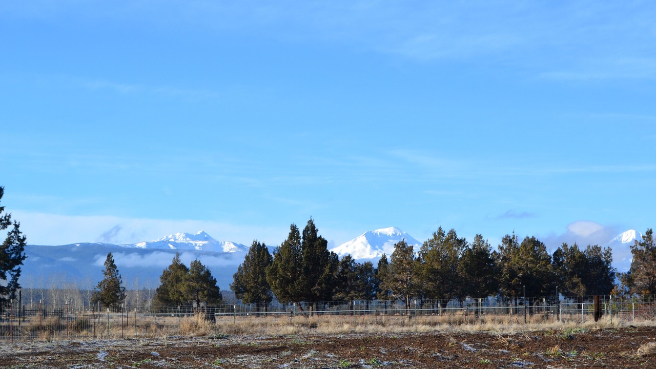 Photo of Others in Bend