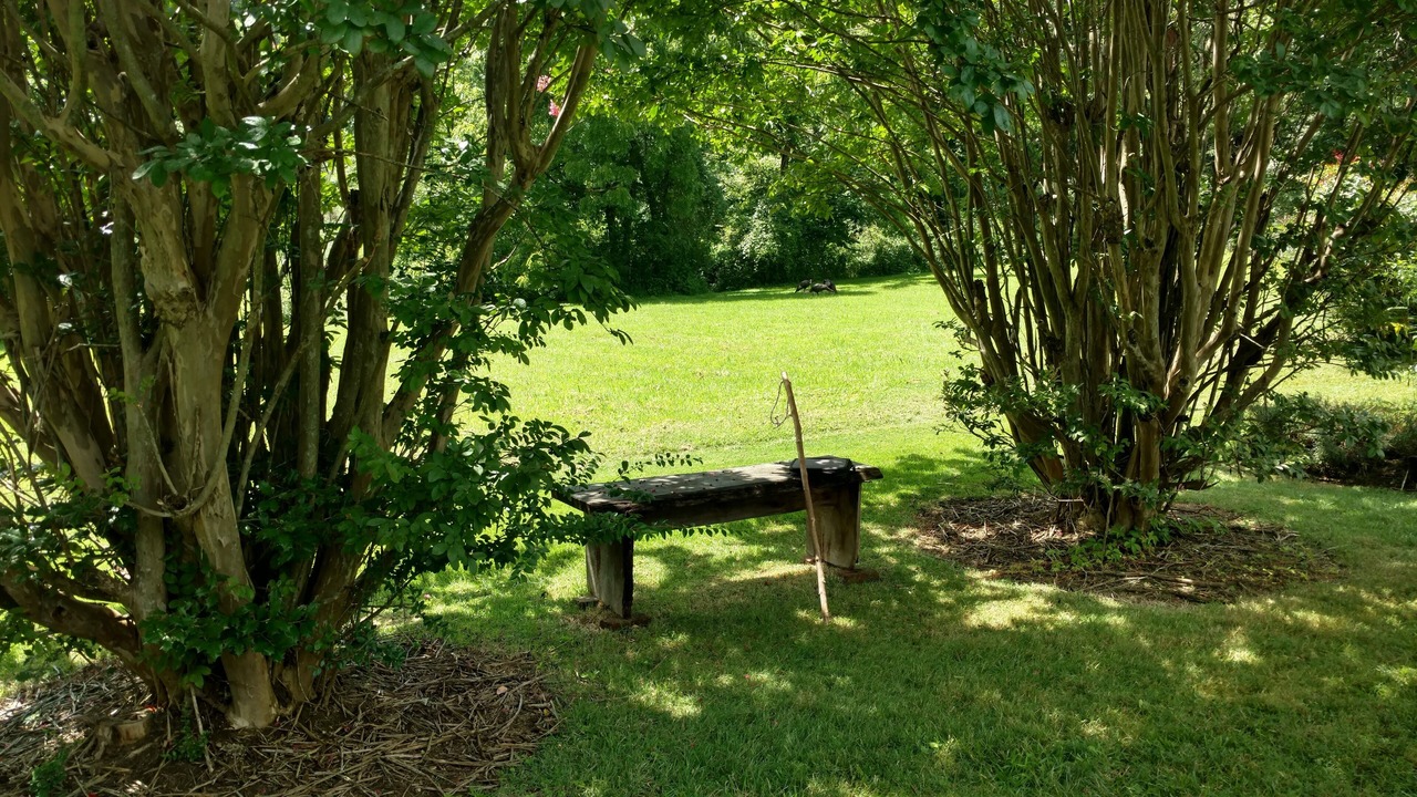 Photo of Outdoor in Old Fort