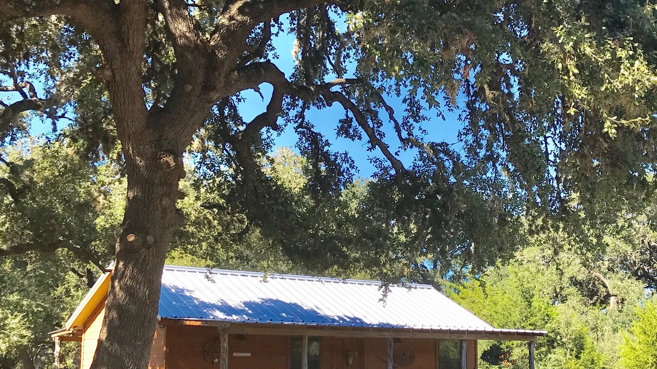 Photo of Outdoor in Utopia