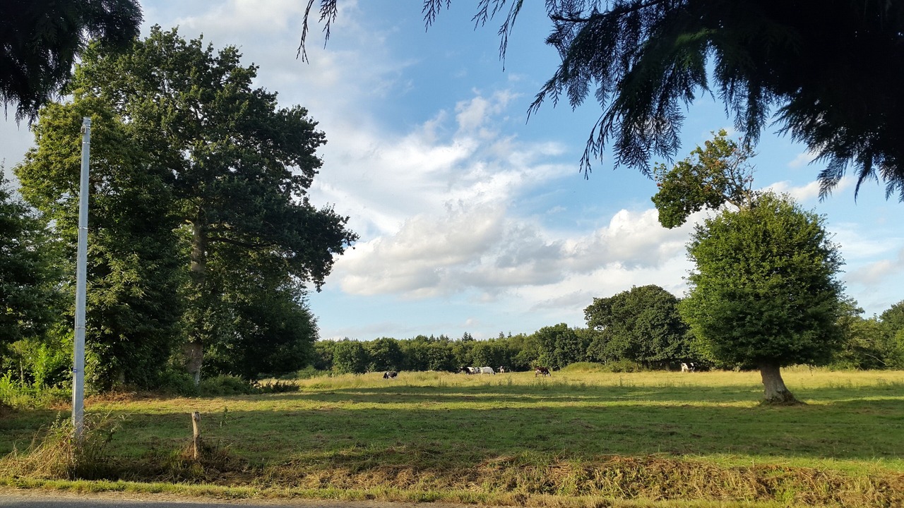 Photo of Others in Saint-Igneuc