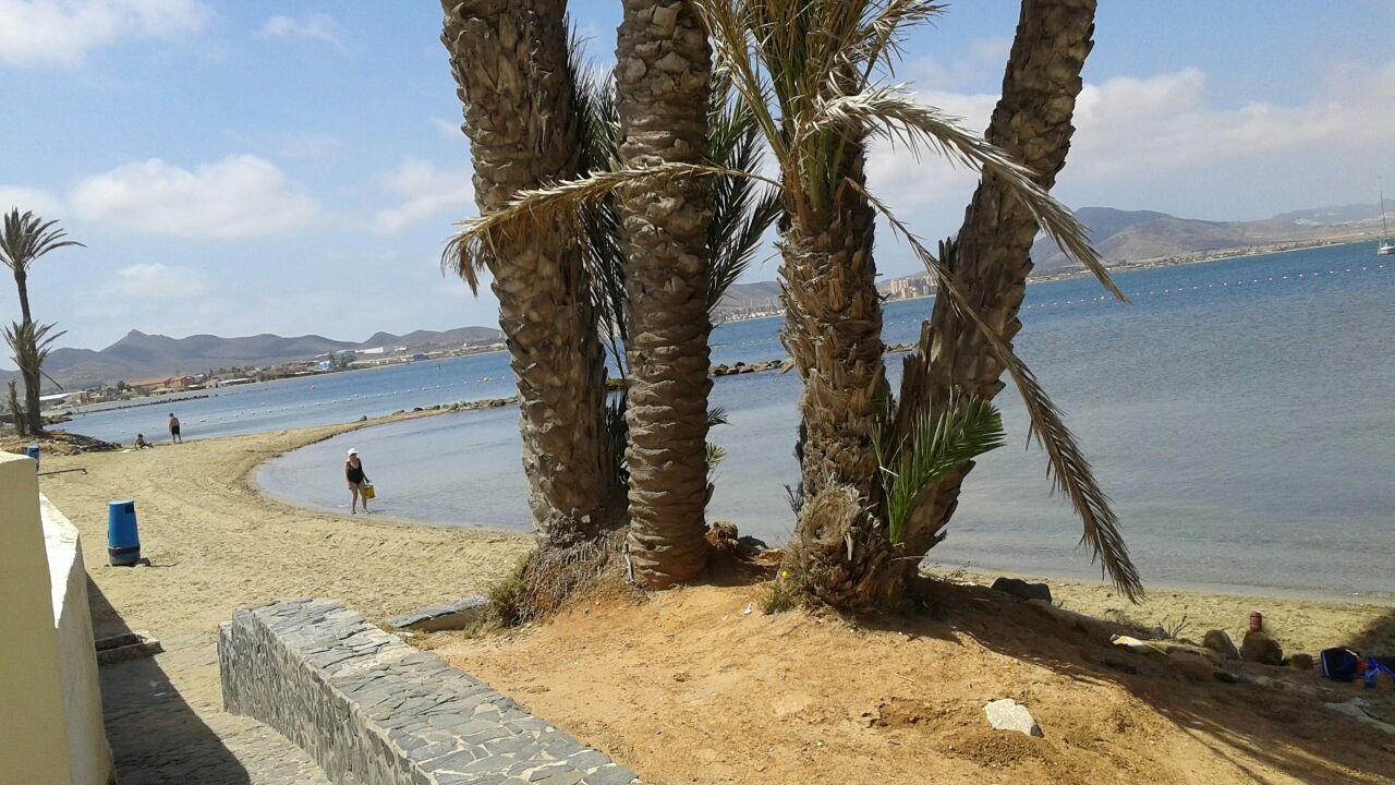 Photo of Others in Diputacion de Rincon de San Gines