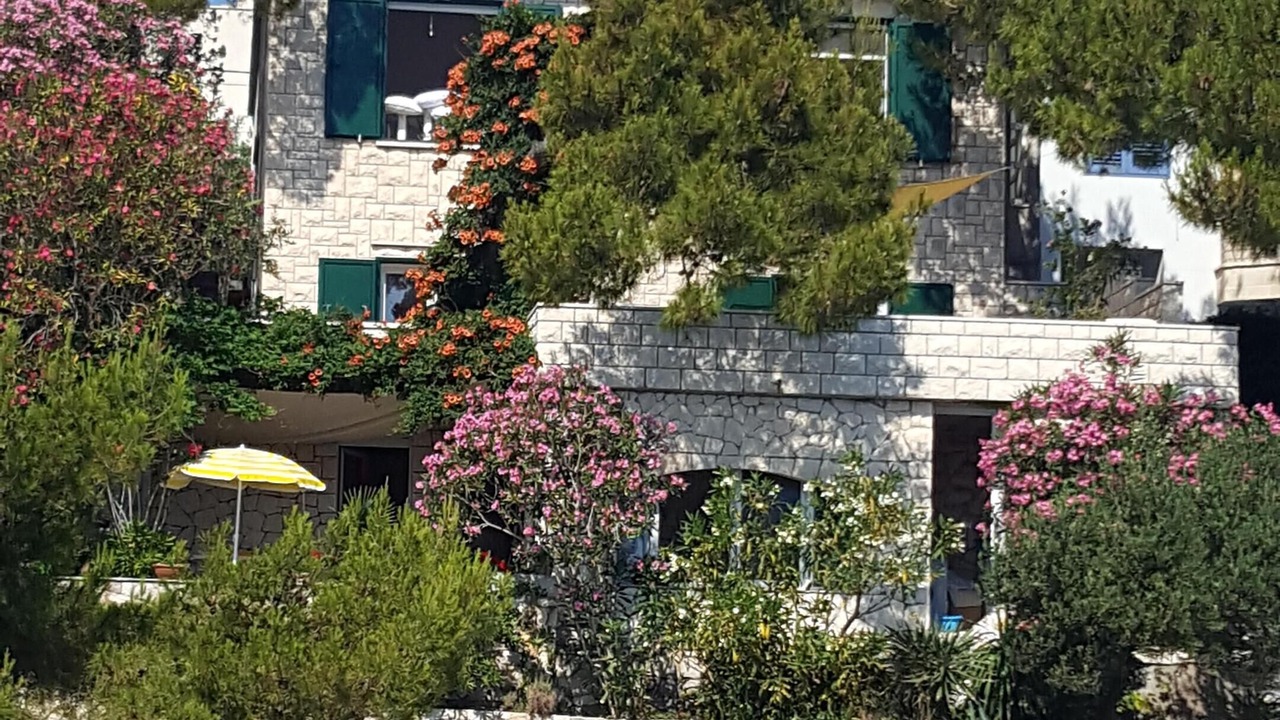 Photo of Outdoor in Klek