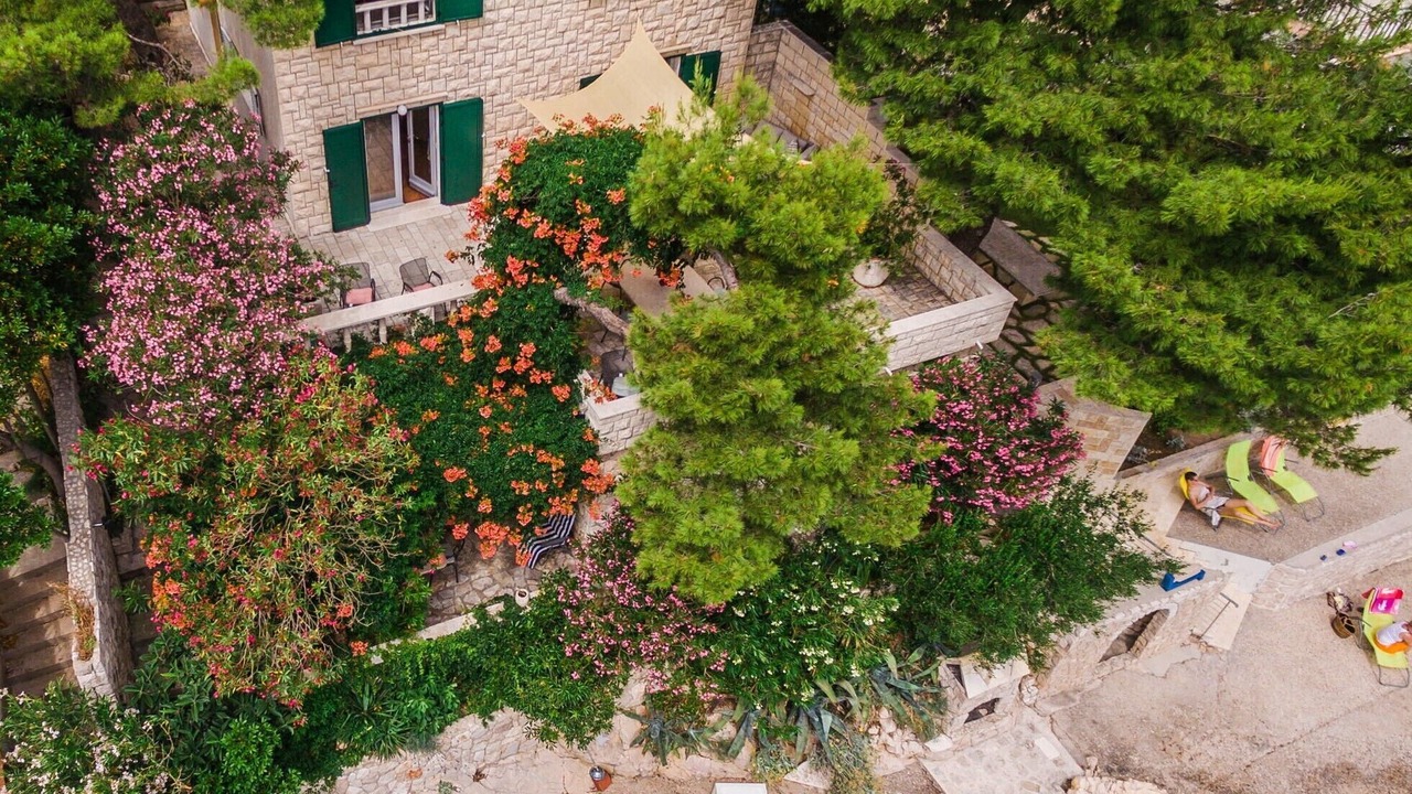 Photo of Outdoor in Klek