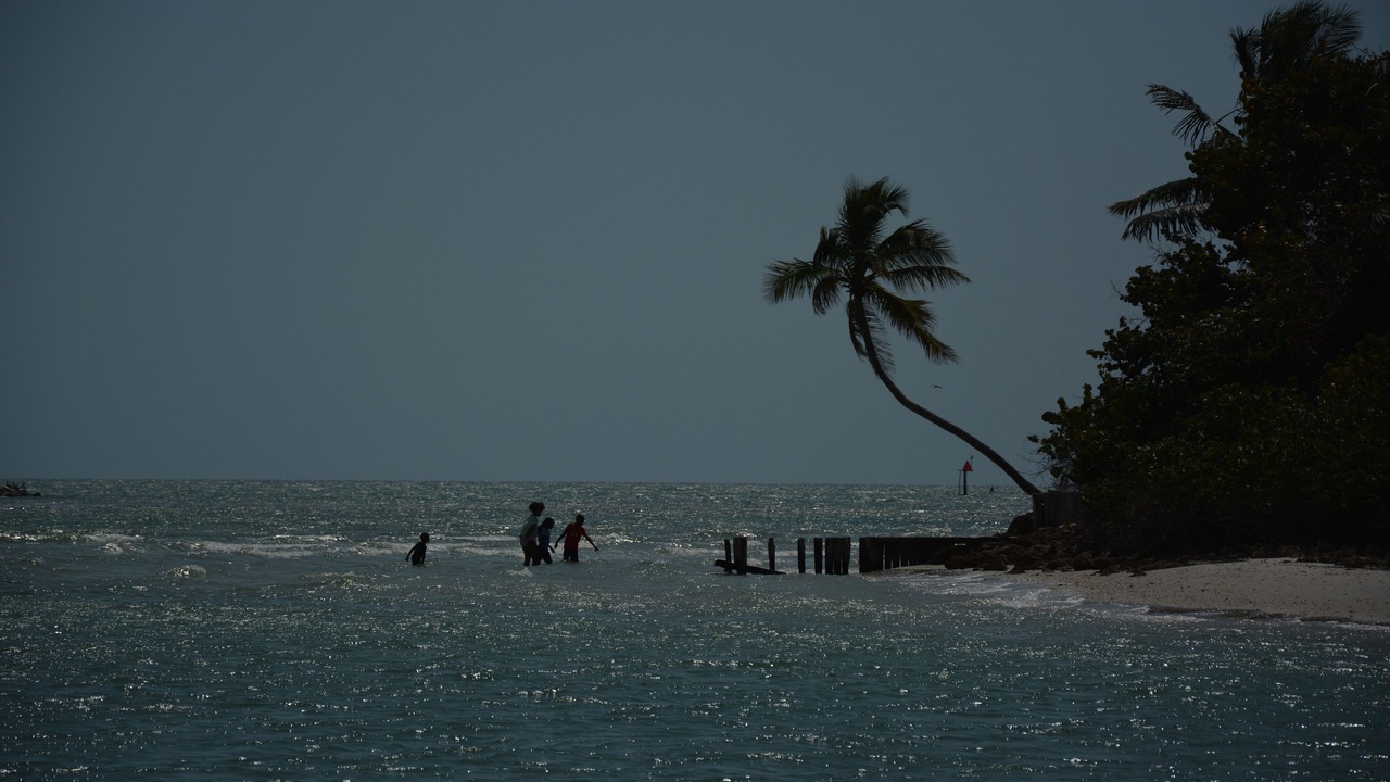 Photo of Others in Cape Coral