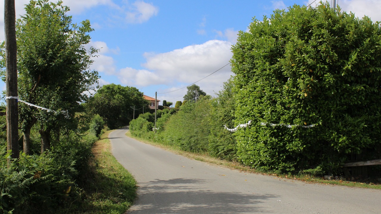 Photo of Others in Saint-Pierre-du-Chemin
