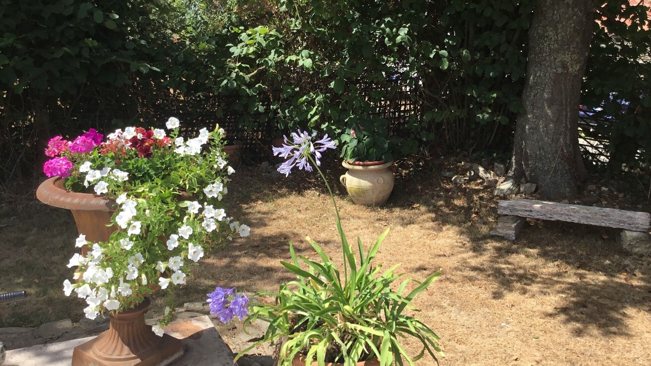 Photo of Outdoor in Saint-Pierre-du-Chemin