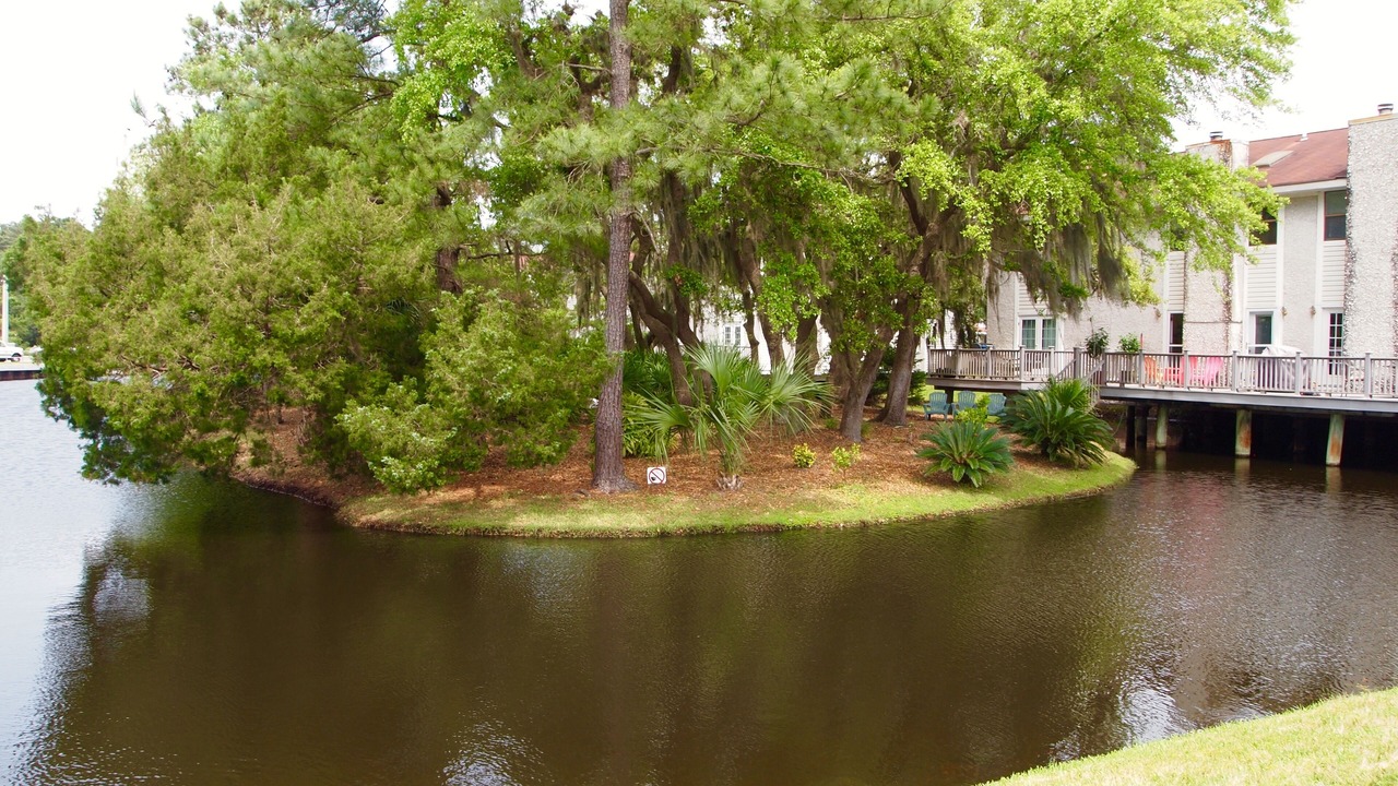 Photo of Others in Saint Simons Island