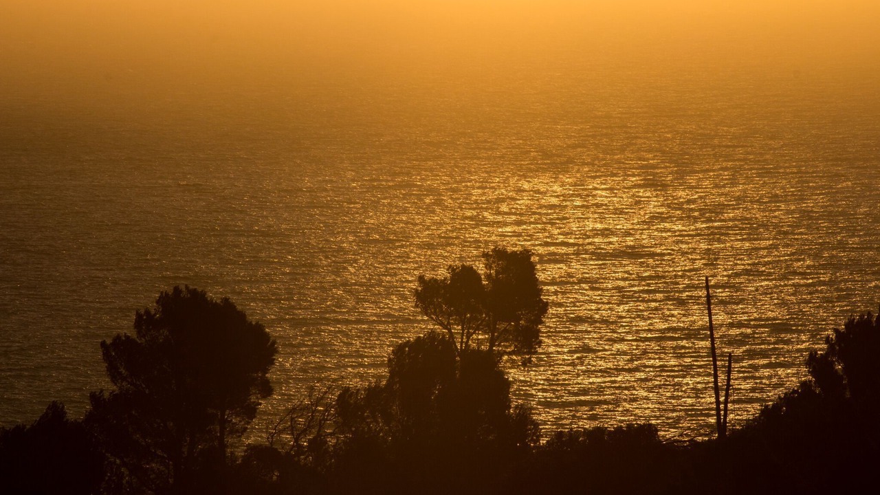 Photo of Others in Begur