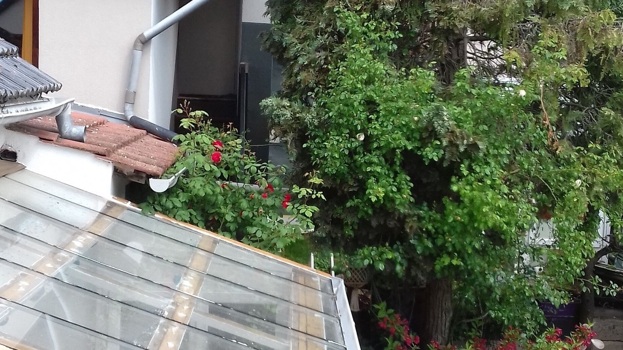 Photo of Patio Balcony in Mutzig