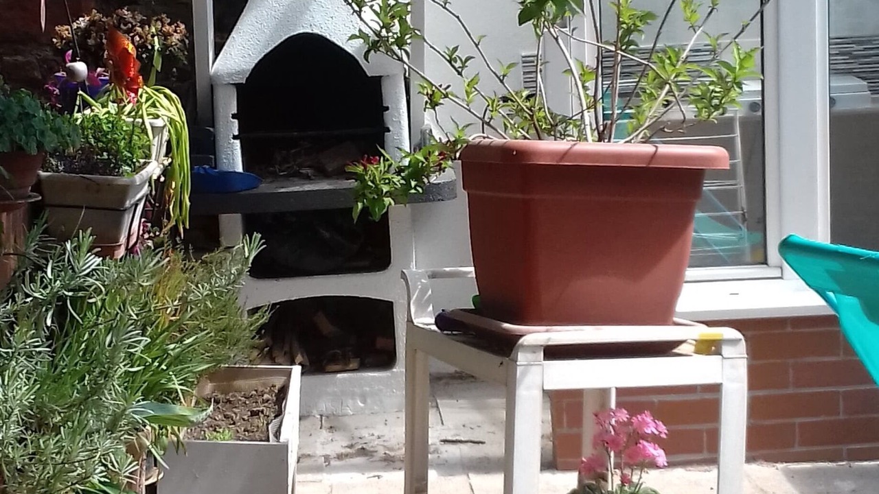 Photo of Patio Balcony in Mutzig