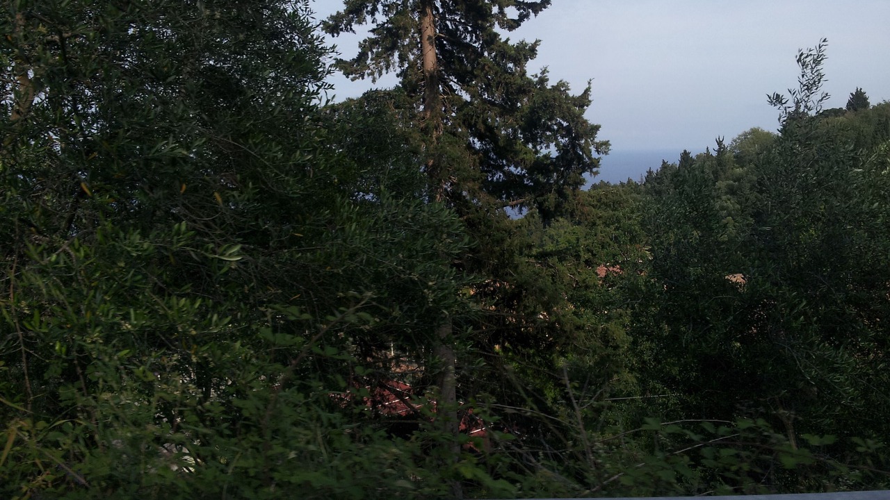 Photo of Others in Mutzig