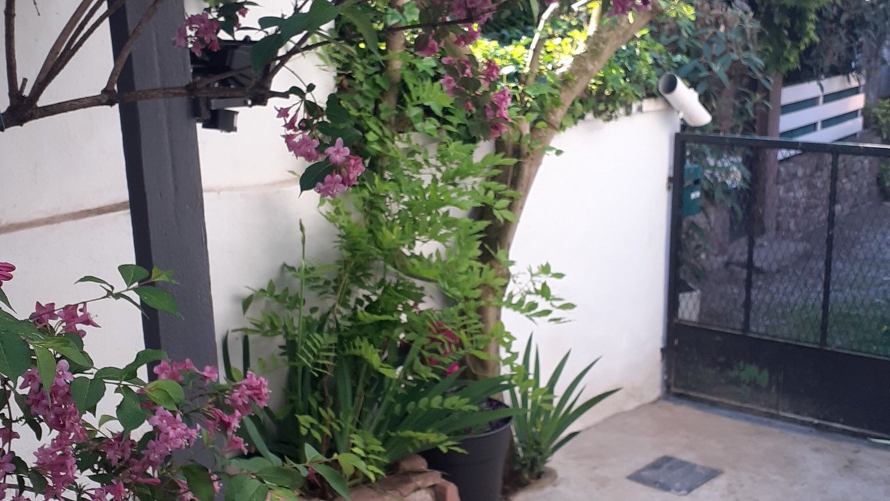 Photo of Outdoor in Mutzig